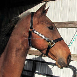 Y & Z – licol de corde en cuir véritable pour cheval, haute qualité, prix de vente complet, fournisseurs de corde équitation - Product Image 1