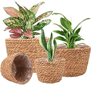 Handmade Woven Seagrass <b>Belly</b> <b>Basket</b> Indoor Large Seaweed Decorative Planter Garden Plant Pot - Product Image 1
