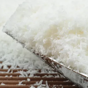 NOIX DE COCO RÂPÉE SÉCHÉE/NOIX DE COCO DESSICQUÉE À HAUTE TENEUR EN GRAISSE/NOIX DE COCO RÂPÉE À HAUTE TENEUR EN GRAISSE EN POUDRE - Product Image 1