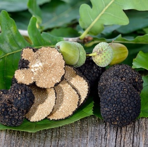 Khô Mùa Hè <span class=keywords><strong>Truffle</strong></span> Lát 35 Gam Chất Lượng Hàng Đầu GVERDI Sản Xuất Tại Ý - Product Image 2