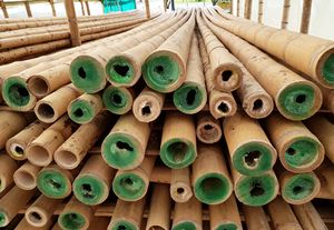 Perche de bambou, produit bon marché, en promotion, 100000 pièces - Product Image 4