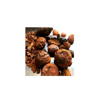 Calculs biliaires de bovins/calculs biliaires de vache à vendre en Europe à bas prix. - Product Image 1