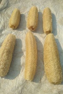 ราคาที่ดีที่สุด LUFFA/ 100% ธรรมชาติใยบวบราคาถูก/ดิบรังบวบฟองน้ำเวียดนาม-Amber + 84383004939 - Product Image 4