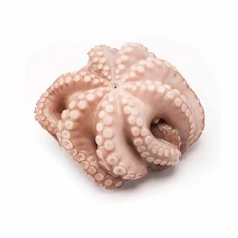 Octopus Live Fresh Frozen Cleaned Baby Octopus Gefrorenes Langbein Ausgenommen 200-300g,300-500g