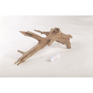 ไม้ลอยน้ำธรรมชาติจากต้นมังกร สำหรับตกแต่งตู้ปลาและเทอร์เรียรี่  สินค้าขายดี เป็นมิตรกับสิ่งแวดล้อม ขายส่งโดยตรงจากโรงงานเวียดนาม - Product Image 5