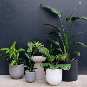 Jardinière en verre pour pots de jardin, grande taille, couleurs mélangées, haute qualité avec quatre dimensions, bon prix, prêt à livraison - Product Image 6