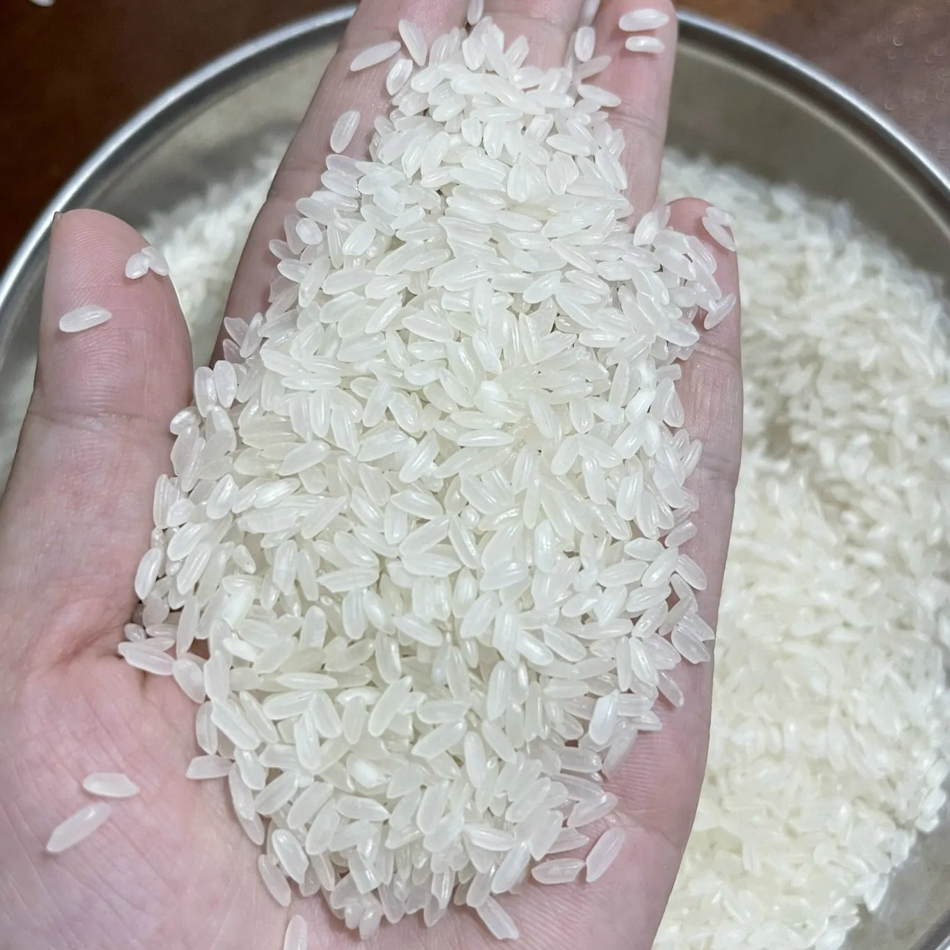 WHITE CALROSE MEDIUM RICE oil polished for Middle East market cheap price packing 1kg 5kg 25kg 50kg (+84986778999 Mr. David)