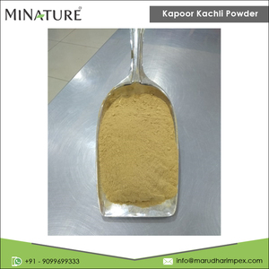 Kapoor Kachli en polvo, fabricante indio de la mejor calidad, suministro a granel, puro y Natural, para la compra al por mayor - Product Image 2