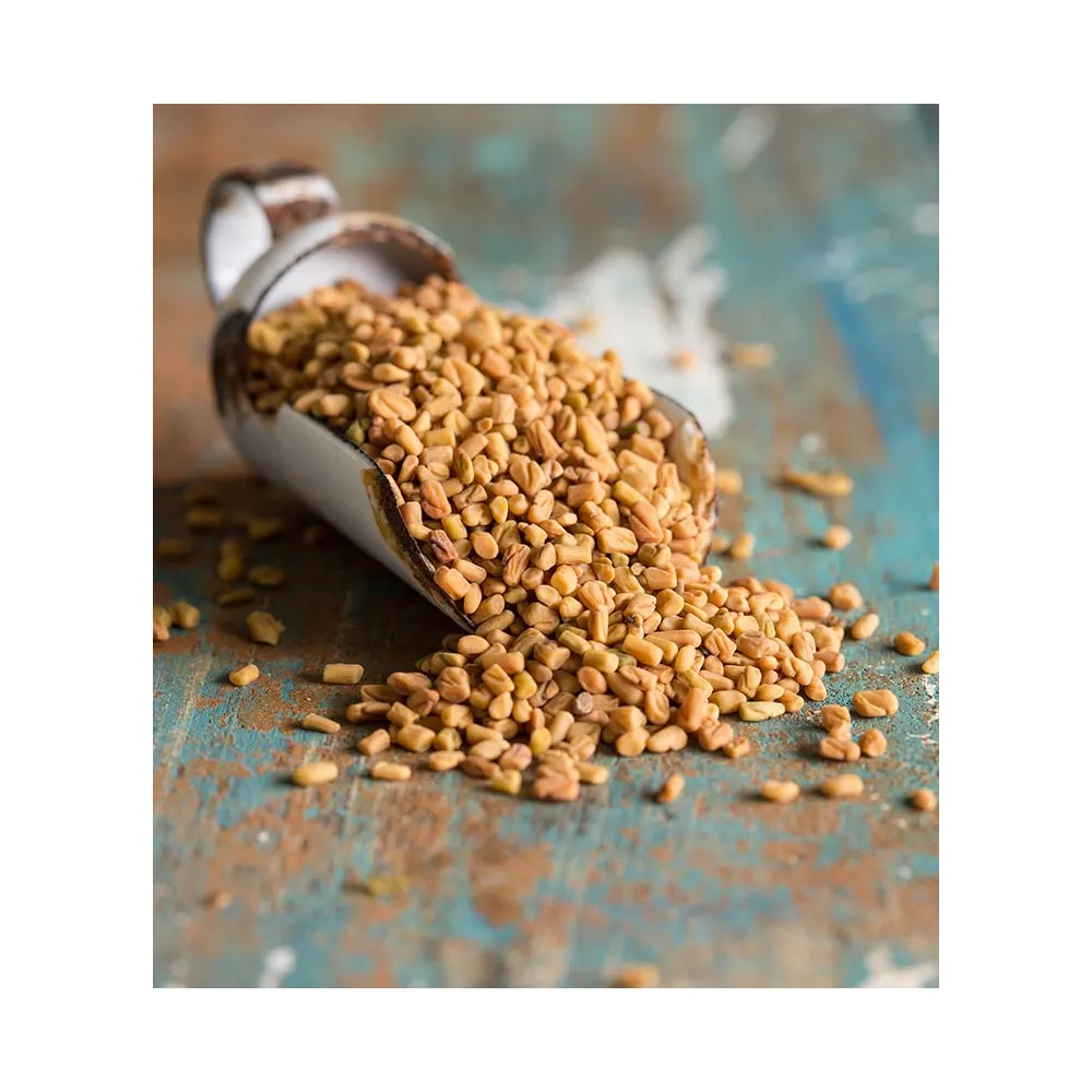 Highly Nutritious Dried Fenugreek 100% Natural Protein at Best Price