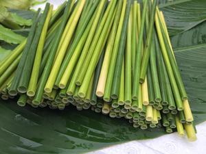 Pailles en herbe naturelle écologiques en gros, vertes et jaune clair, 100 % naturelles, pour eau chaude et froide, 13-20 cm, grande quantité - Product Image 2