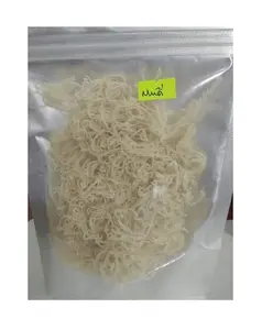 Sea Moss Irish Seaweed Eucheuma Cottoni from Vietnam_ Ms. Jennie (WhatsApp: +84 358485581)