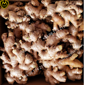 2022 Gingembre frais de haute qualité du Vietnam Produits de saison au meilleur prix - Product Image 2