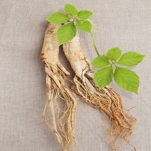 The SAEM Sooyeran Wild Ginseng Capsule <b>Cream</b> Korean Skincare with Glycerin As Main Ingredient - Product Image 6