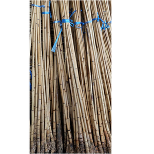 Venta al por mayor 3M 4m Natural Anti-Termitas Material de caña de ratán crudo pulido Parte de raíz seca para muebles de estilo SE Asia - Product Image 6