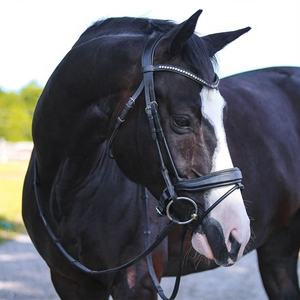 บังเหียนแบบ Anatomic Snaffle คุณภาพสูง พร้อมสายรัด Flash หนังนุ่ม ปรับได้ อุปกรณ์ฝึกม้า - Product Image 3