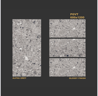 Design moderne 600x1200mm Carreaux de sol en ciment poli Couleurs vives personnalisées pour les murs intérieurs de villas de luxe Finition mate