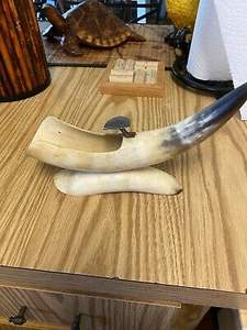Corne décoratif en forme de corne, pour l'artisanat naturel, hôtel et maison, vente personnalisée, nouvelle collection - Product Image 5