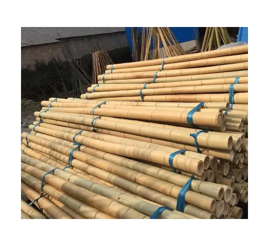 Vietnam bamboo cane dried bamboo poles for gardening and construction natural bamboo poles for sale 99 Gold