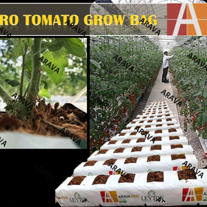 Sacs d'apprentissage en tomate, pour fabricants mexicaine, au meilleur prix - Product Image 2