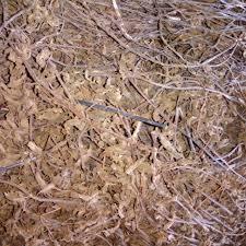 PRIX BON MARCHÉ DE L'HERBE NOIRE SÉCHÉE ET DES BÂTONS NOUVELLE CULTURE 2024 VIETNAM - Product Image 3