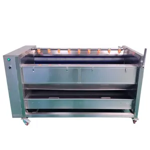 Good Quality Fresh Fruit Vegetable Washing Sweet Tomato Peeling Machine