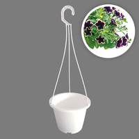 Aiermei L-043 Home Decoration Green Hanging <strong>Plants</strong> <strong>Grow</strong> White Plastic Hanging Pot with Hook