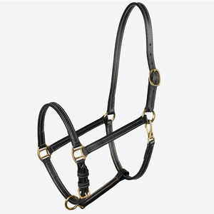 Halter d'équitation en cuir Joxar équestre - Product Image 1