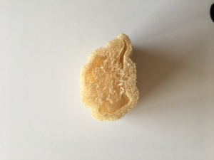 ลูกบอลใยบวบขัดผิวธรรมชาติเพื่อผิวเนียนนุ่ม - Product Image 2