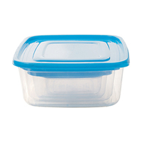 Microgolfbestendige vierkante PP plastic voedselcontainers, 4-delige set, spuitgegoten, duurzaam, vriesbestendig, klassieke DYNASTY
