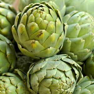 Fleur d'artichaut séchée au meilleur prix - Product Image 1