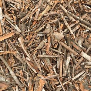 Ballon Casia cassé de haute qualité, origine Vietnam, 2022 - Product Image 5