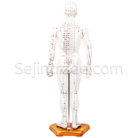Modelo Anatómico Masculino de 50 cm, Cuerpo de Goma, para Acupuntura, Medicina, Hospitales, Masajes, Clínica de Moxibustión China