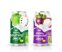 Boisson en canette de jus de corossol frais 330 ml – Fabricant, vente en gros, marque privée, approvisionnement en vrac, mondial