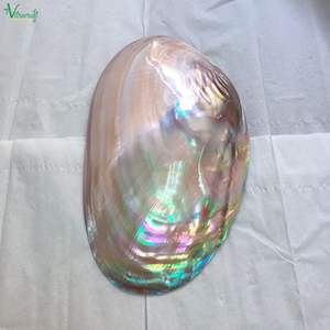 Plato de Perla Rosa, mopa de Caviar, conchas marinas - Product Image 4