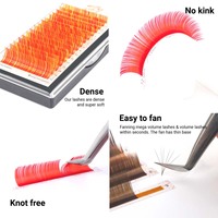 Lagee — Extensions de cils individuels 2D, fournitures pour maquillage des yeux, vente en gros, rouge, brun, facile à attraper et à Fan