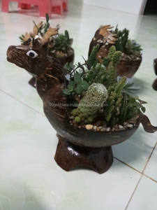 Maceta de Cáscara de Coco, Artesanía Animal con Materiales Naturales, Buen Precio (Kaylin: WS: +84 817092069) - Product Image 4