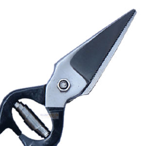 Ciseaux traditionnels pour les soins des pieds avec verrou de sécurité, en acier inoxydable, pour le traitement de la piedrot chez les bovins, les ovins et les caprins - Product Image 4