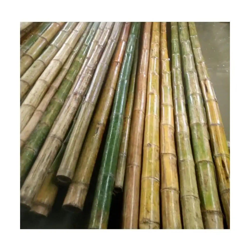 Hot Selling 2020 Natuurlijke Bamboe Pole-Straight Bamboe Pole Voor Decoratie Gader-Bamboe Pole Ondersteuning Tuin WS0084587176063