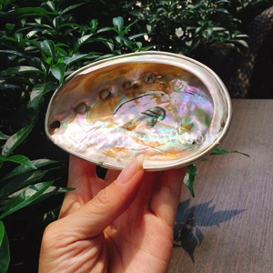 Service de couverts de la mère des perles du Vietnam, plat à Caviar en nacre, cadeau significatif - Product Image 2