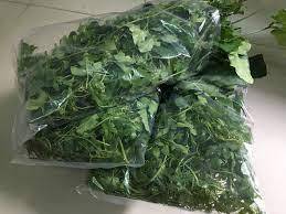 Annona glabra Vietnam แพ็คสูญญากาศแบบแห้งบรรจุภัณฑ์แบบสุญญากาศสำหรับเก็บน้ำรสชาติหวานแบบใหม่ - Product Image 3