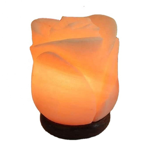 Lampes en sel rose de l'Himalaya sculptées de qualité supérieure, thème amour, forme unique, prix attractif, cadeau d'Impex Pakistan - Product Image 2