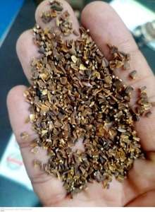 Kasni-Cichorium Intybu-Achicoria para la pérdida de peso, antivaho, raíz de achicoria - Product Image 5