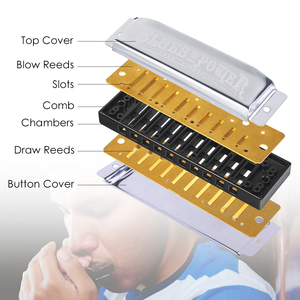 NAOMI Harmonica SWAN Cao Cấp Bruce 10 Hole BLUES C Key Harmonica Cho Người Mới Bắt Đầu & Trẻ Em Với Hộp Đựng Quà Tiêu Chuẩn - Product Image 6