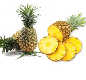 新鲜MD2，金色菠萝/新鲜甜菠萝出口越南最好的食品/特西 + 84 966 058 257