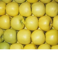 Zoete Knapperige Zoete Verse Biologische Premium Rode Royal Gala Appels 8,5kg Zuid-Afrika Groothandel