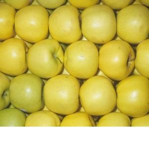 Manzanas Royal Gala Orgánicas Frescas Premium de Sudáfrica al por Mayor - Product Image 4