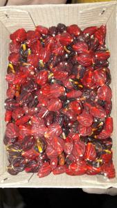 โคมไฟคริสตัลรูปหัวใจสีฟ้าและลูกปัดแก้วทำด้วยมือลูกปัดหลวมสำหรับทำเครื่องประดับสร้อยคอสร้อยข้อมือและงานฝีมือแบบทำมือ - Product Image 2