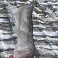 DE VIETNAM MEJOR CALIDAD-PIEL DE PESCADO BA SA SECA - Product Image 4