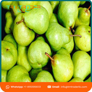 ผู้จัดจำหน่ายจากสหรัฐอเมริกา ลูกแพร์พันธุ์แพคแฮม ออร์แกนิค คุณภาพเยี่ยม รสหวานฉ่ำ กรอบ สำหรับผู้ซื้อขายส่ง - Product Image 4