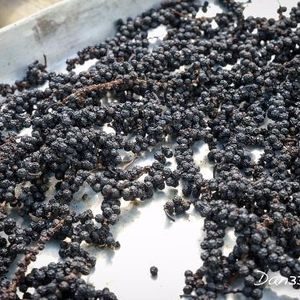 Pimienta Negra de Vietnam, Nueva Cosecha, 500GL 550GL FAQ, Pimienta Entera Seca, Exportación a Granel, Alta Concentración de Piperina, Superventas - Product Image 3